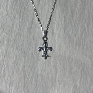 Minimalist Silver Fleur De Lis - 50 cm. Rostfritt