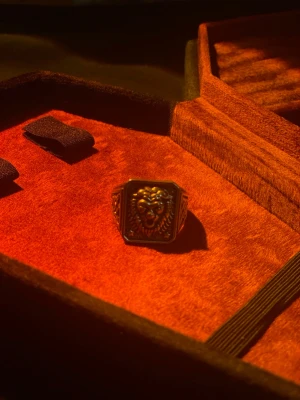 Lejon ring - En tuff ring som kommer antingen lyfta din tråkiga outfit eller ge en liten touch på din snygga outfit