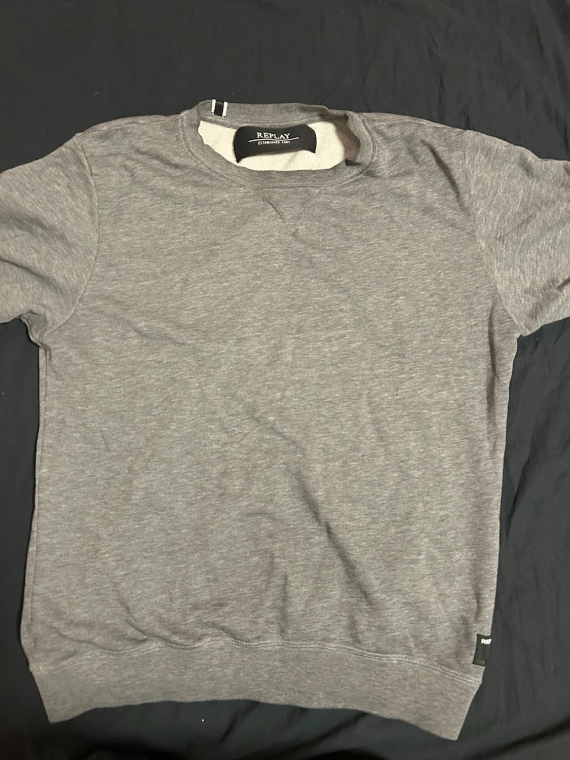 Grå sweatshirt från Replay