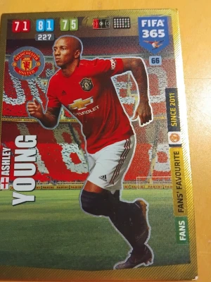 FIFA 365 Manchester United samlarkort - Fem samlarkort från klubben Manchester United. Tre av dessa är i från Fifa 365, de andra är i från Kickerz. Korten är i från årtalen 2013, 2017, 2020. Dessa kort innehåller legendarer som Robin Van Persie, Sergio Romero och Wayne Rooney. Korten innehåller även lite nyare spelare som Anthony Martial och Ashley Young.