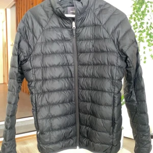  jacka från Dressmann - Säljer en svart quiltad jacka från Dressmann. Jackan har en dragkedja framtill och är långärmad. Perfekt för våren/ svalare dagar med sin stilrena design och bekväma passform. Använd ungefär 2 gånger och ser ut som ny. Pris när jag köpte den: 1000kr säljer den för 350