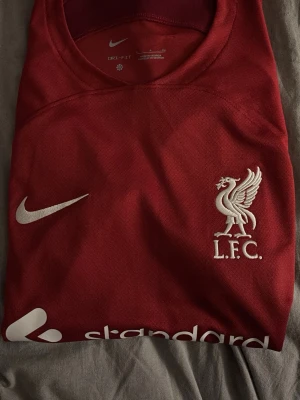 Liverpool hemmatröja 22/23 i storlek small - En Liverpool hemmatröja från 22/23 säsongen i nyskick. Använd endast 1-2 gånger. Den är i storlek small och har en normal passform. Pris kan diskuteras vid en snabb affär👍 OBS ingen spelare på ryggen. 