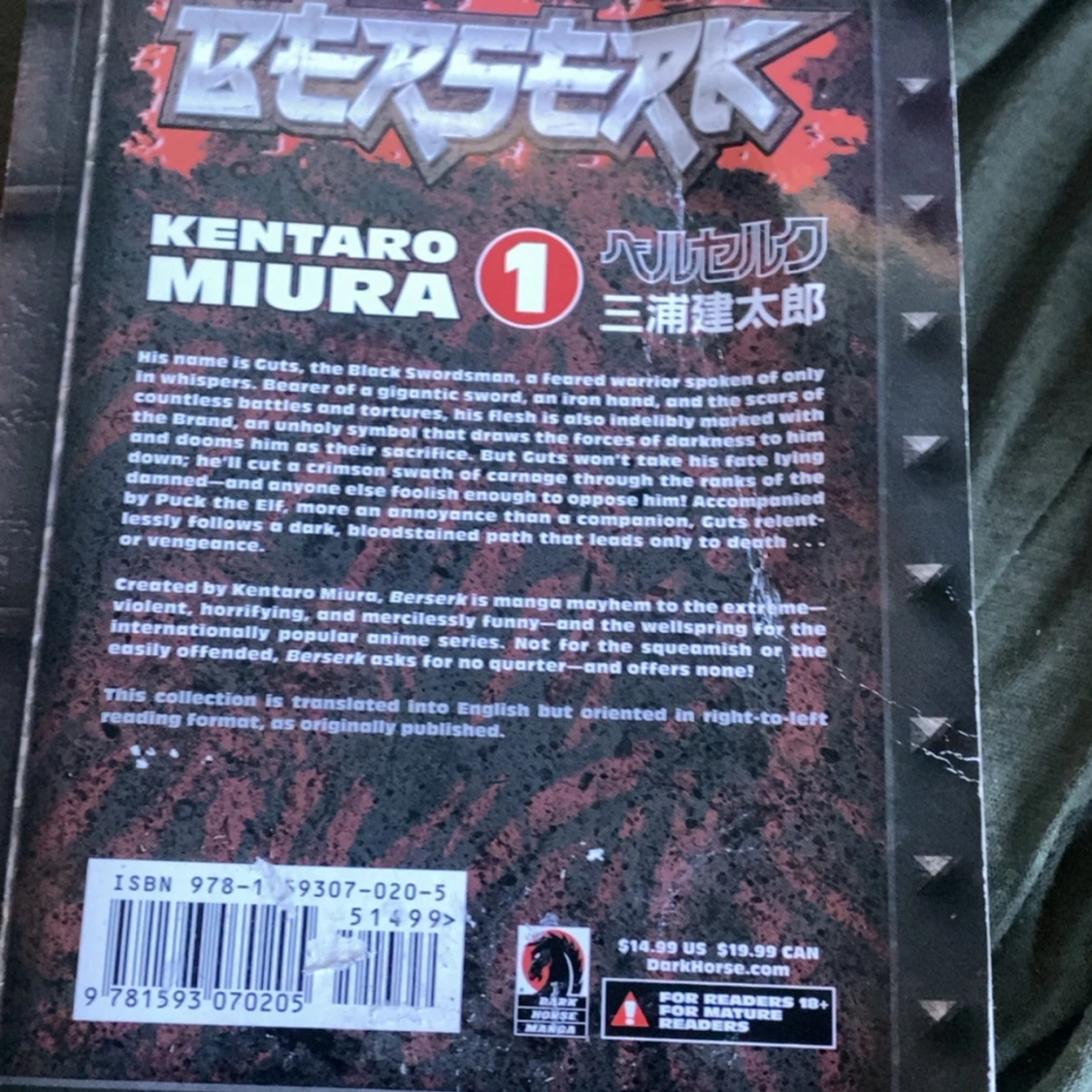 Berserk Vol. 1 - 1