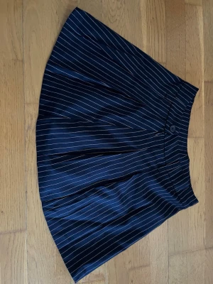 Mörkblå randig kjol från H&M Divided (Thailand) - Kort kjol i mörkblått från H&M Divided med tunna vita ränder. Kjolen har knapp och dragkedja framtill samt bälteshällor i midjan. 