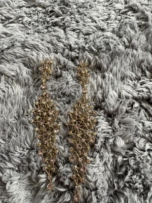 Örhängen  - Jätte fina långa örhängen. Aldrig använt 