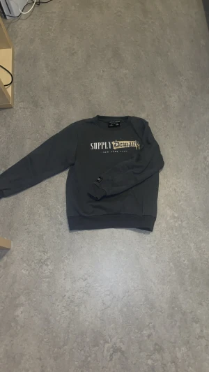 Grå sweatshirt från märket Supply & Demand storlek 10 - 12 - En stilren grå sweatshirt från Supply & Demand, tillverkad i ett mjukt och bekvämt material. Tröjan har en modern och sportig design med ett distinkt guldfärgat märke placerat mitt på bröstet, vilket ger plagget en exklusiv och iögonfallande detalj. Perfekt för både vardag och avslappnade outfits.