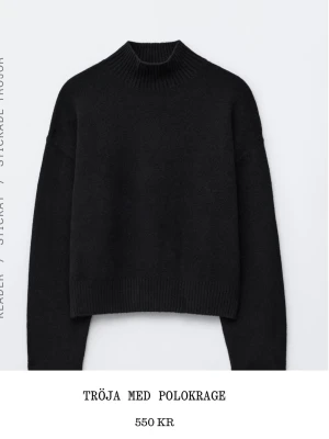 Svart polotröja från & Other Stories - Svart polotröja från & Other Stories med ribbad hög krage och långa ärmar. Håller dig varm men framförallt en "basic" men väldigt snygg tröja!!! 💗 orginal pris: 550kr