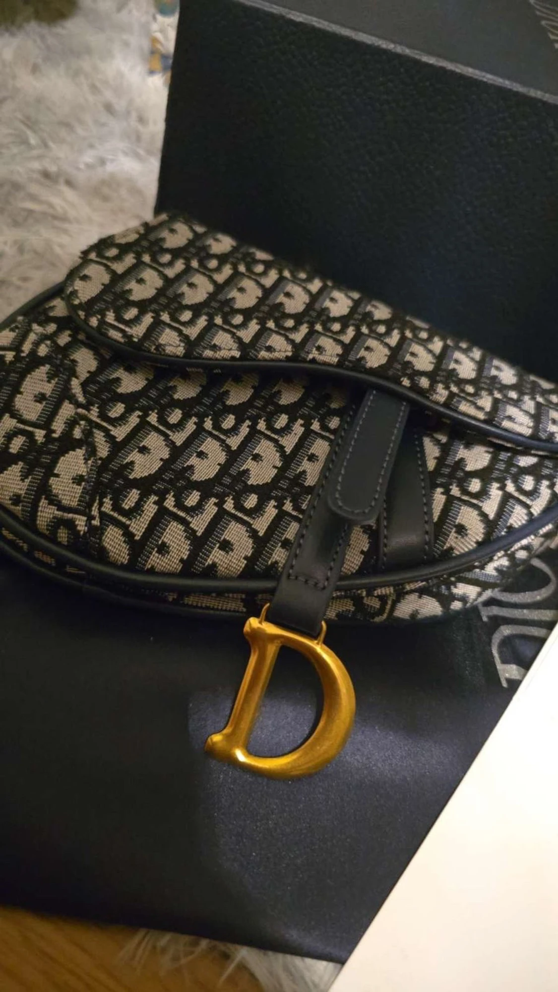 Dior Saddle Bag - 1