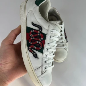 Gucci Ace  Snake - Skick 8/10. Storlek 41. Box ingår. Pris: 2399:-