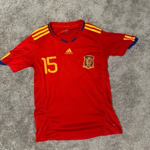 Spanien VM 2010 Ramos #15 - Säljer en Spanien tröja från VM 2010 med trycket Ramos #15. Tröjan har använts Max 3 gånger och är som ny.