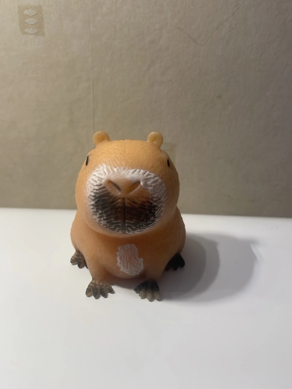 Kapybara squishy 