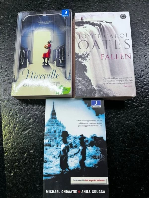 3 böcker- Niceville, Anils Skugga, Oates Fallen - Paket med 3 litterära romaner. Stark berättarkonst och psykologiskt djup. Säljes tillsammans. #sköntliteratur 