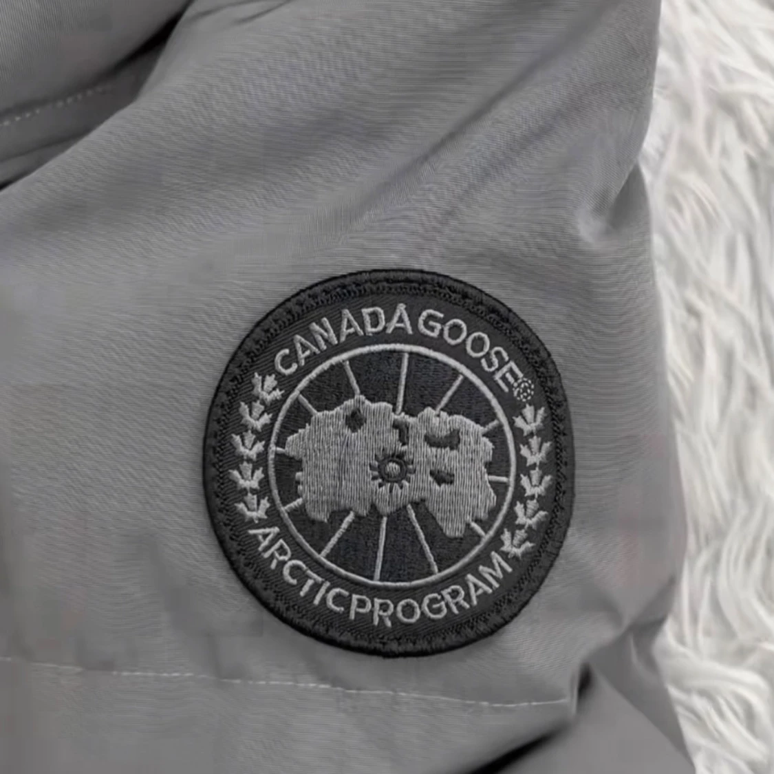 Canada goose MACMILLAN - 1