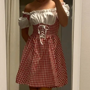 Oktoberfest klänning - Oktoberfest klänning som inte kom till användning. 