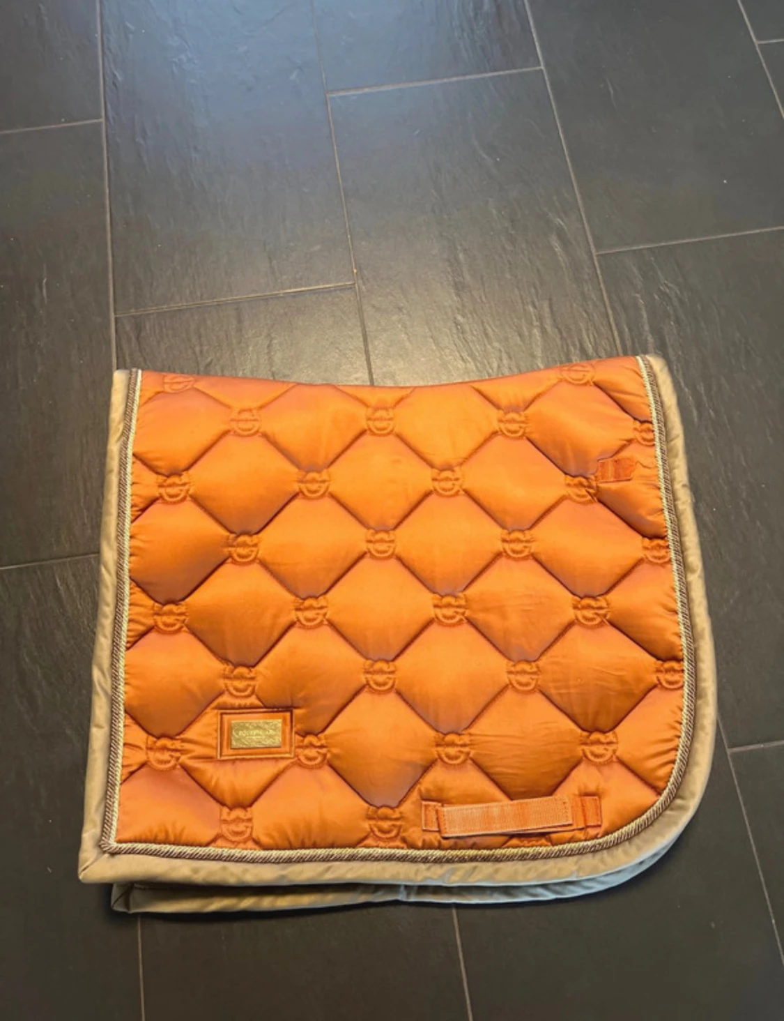 Orange dressyr schabrak