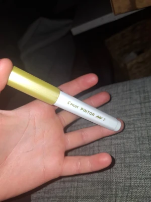 Guld Pilot Pintor Fine-markerpenna - Helt ny köpt idag för 45 säljer för 37 den är i helt ny skick