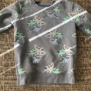 Grå drakmönstrad tröja Mywear Young - 15 kr 