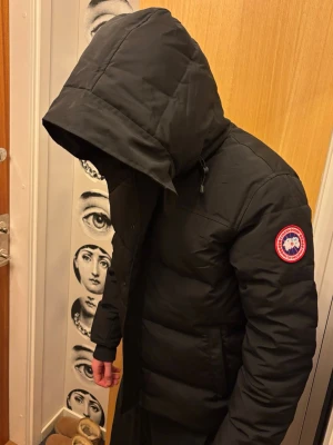 Canada Goose jacka - Säljer nu denna canada goose jacka då den inte passade personen jag köpte den till. Helt ny. Bara att skriva vid funderingar:)
