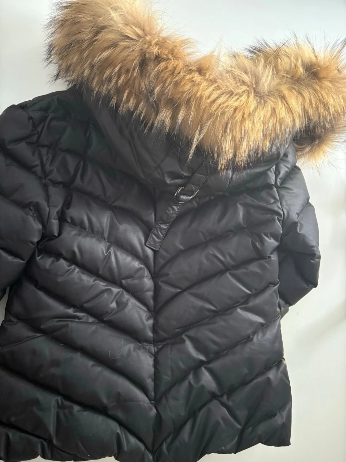 Svart pufferjacka från Hollies med päls - 1