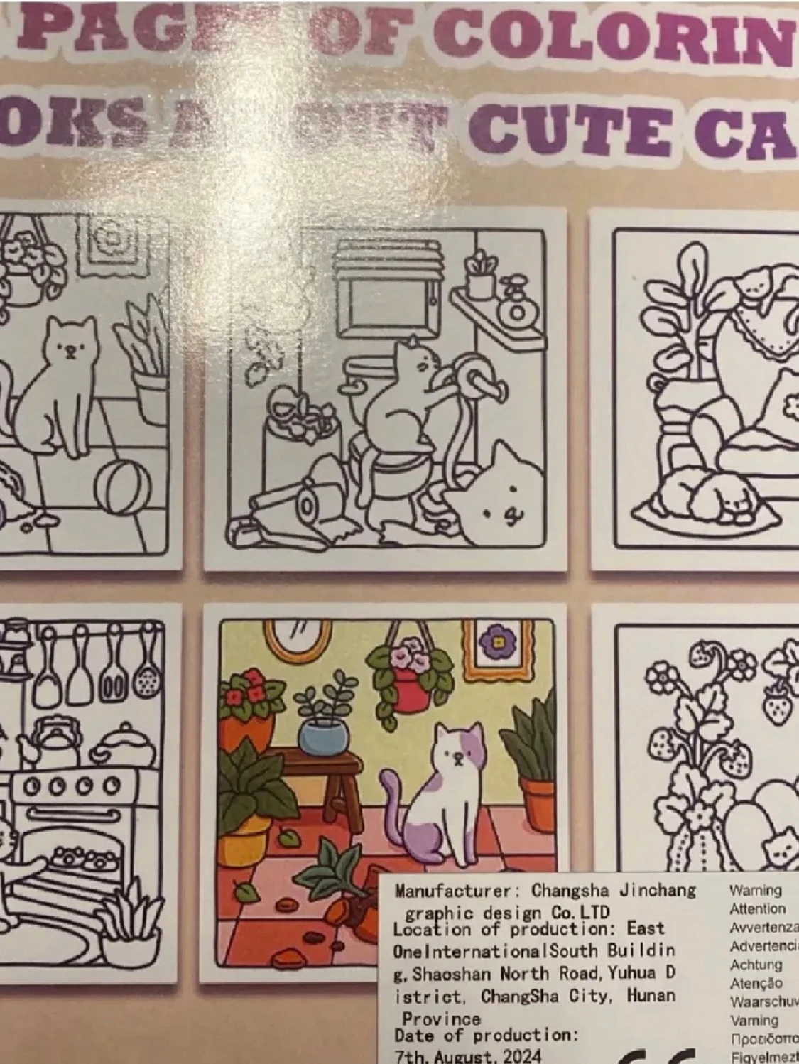 Cat Moments Meow Life Coloring Book - 1