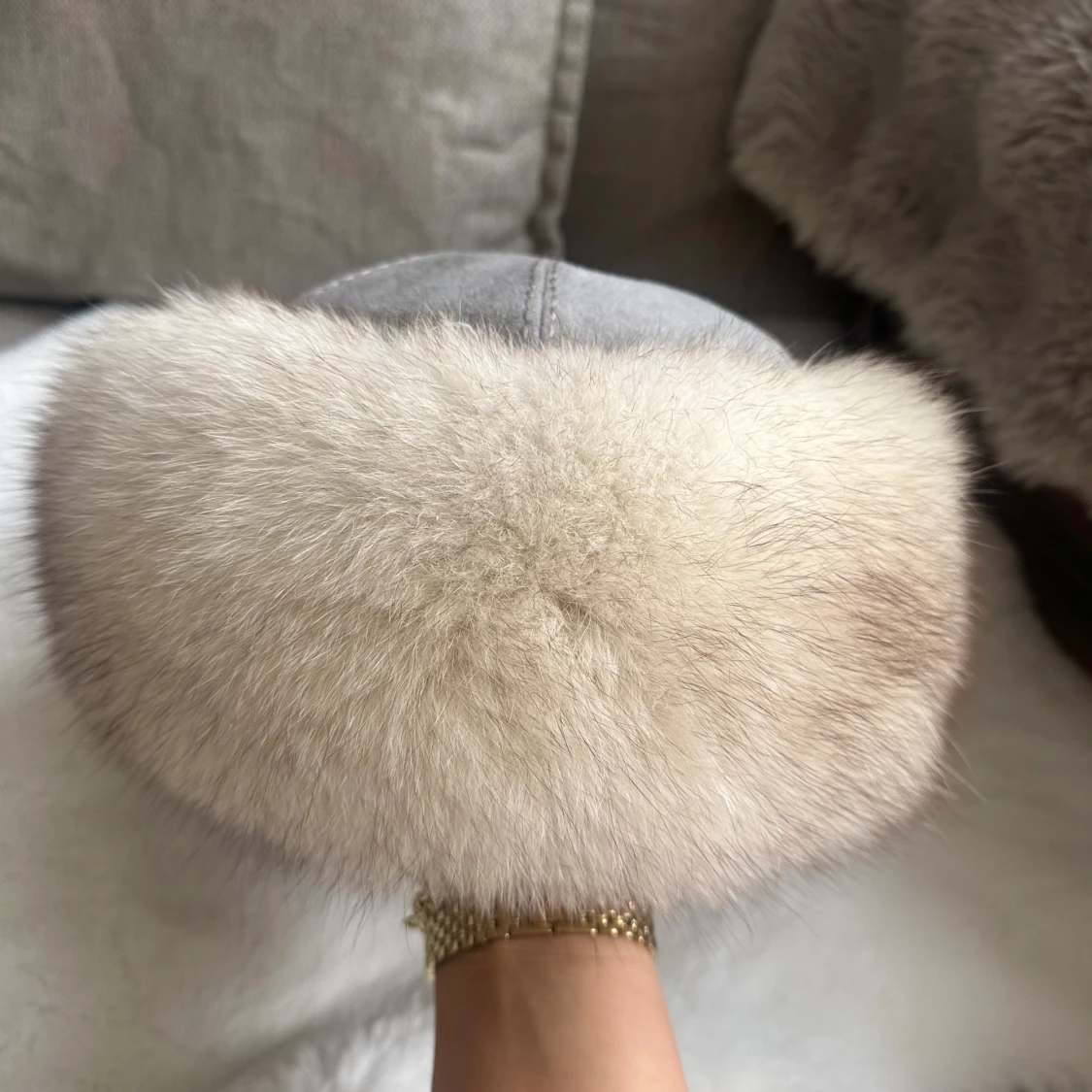 Pälsen blåräv - 3