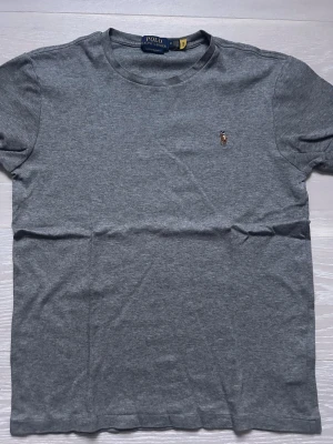 Polo Ralph lauren T-shirt  - Toppen skick, grå T-shirt med brun häst med lila detaljer svår att hitta denna. 