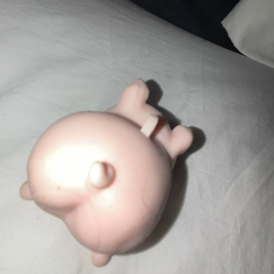 Skön gris med gump. - 4