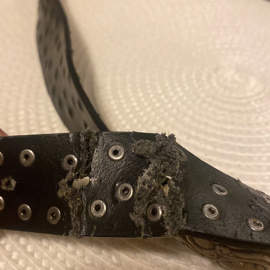 Svart bälte med stor dekorerad silverfärgad spänne - 4