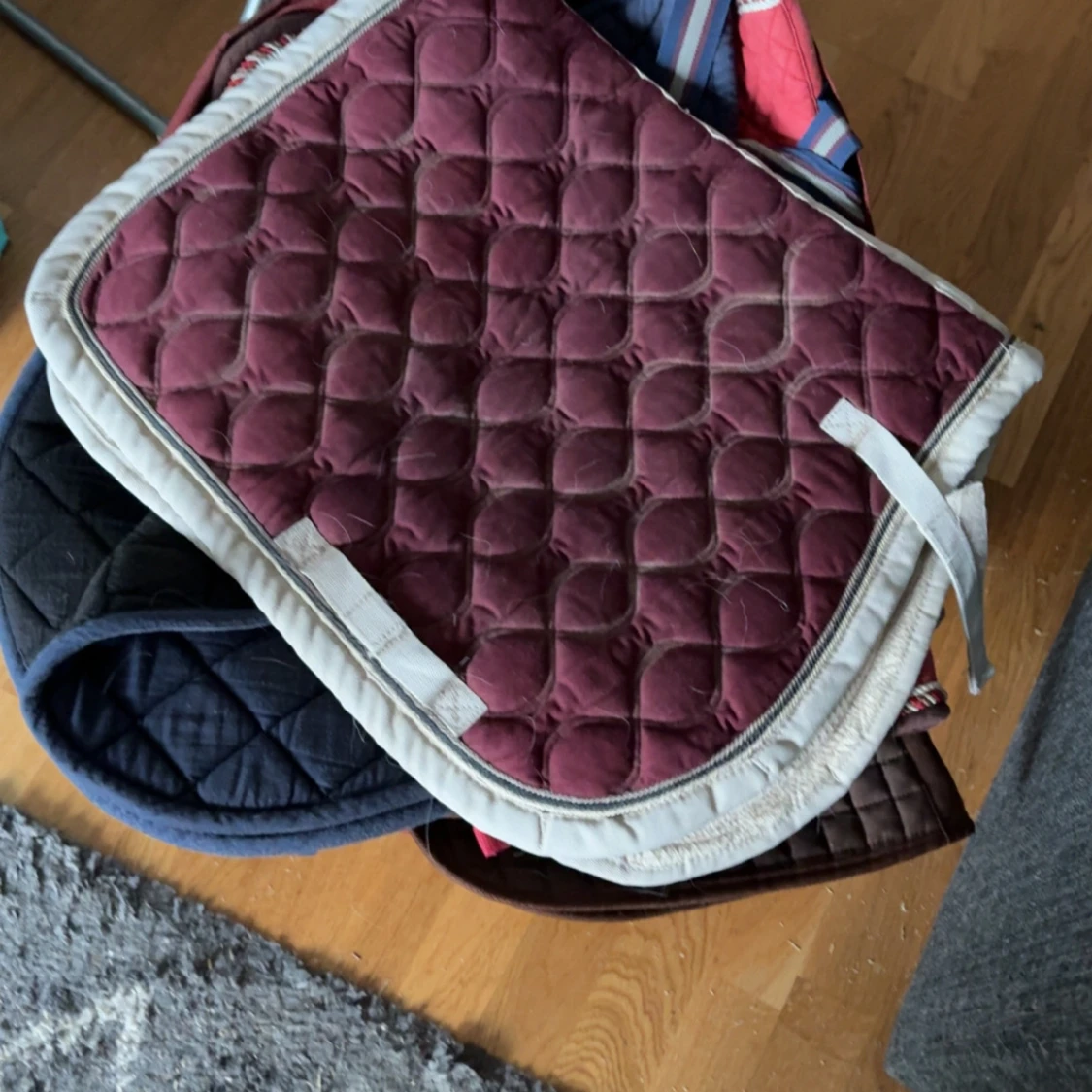 Hästutrustning - Träns, bett och schabrak och täcken  - 3