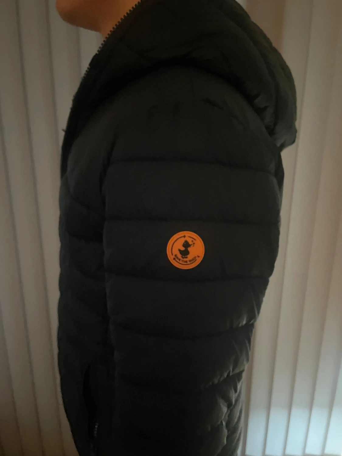 Save the duck Jacka - 2