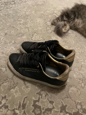 Zadig&voltaire sneakers - Flitigt använda som det syns på bilderna. 