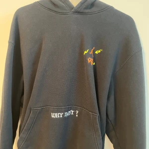 Jordan Why Not? HOODIE - Jordan hoodie i storlek L som ej går att köpa längre. Köptes för 1400 kr och använd ett fåtal gånger. Plagget är i mycket bra skick och har inga defekter