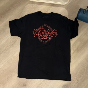 Bladee tisha - Glömde att jag hade denna :) Bladee tisha från typ 2019 helt oanvänd. Large.