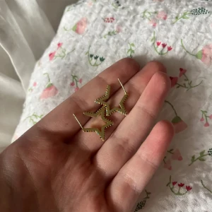 Örhängen  - Örhängen i form av en stjärna 🌸 knappt använda. Fint skick 120 kr 