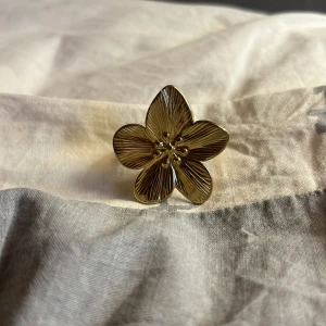 Ring  - Köpte den för inte så längesedan. Man kan ändra på storleken.