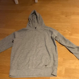 Hoddie - Bra skick