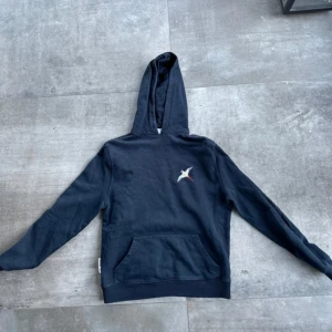 Axel Arigato hoddie - Riktigt bra skick