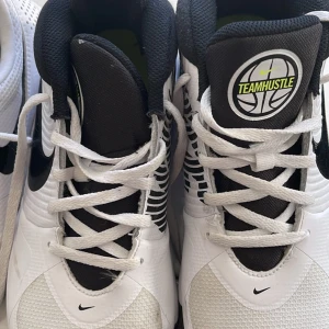 Basket skor nike - Säljer min sons basketskor strl 40 vita