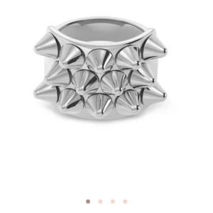 Edblad ring  - Säljer denna ringen från Edblad då den ej använd längre då jag är guldmänniska🥰inga dåliga effekter på den. 