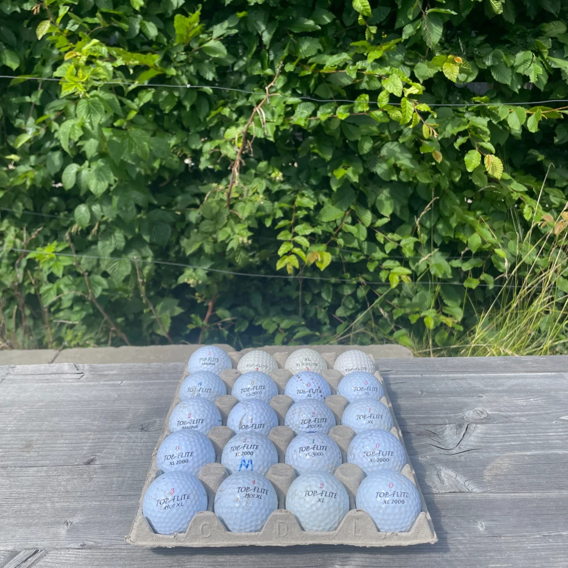 Top-flite golfbollar olika modeller  - 91