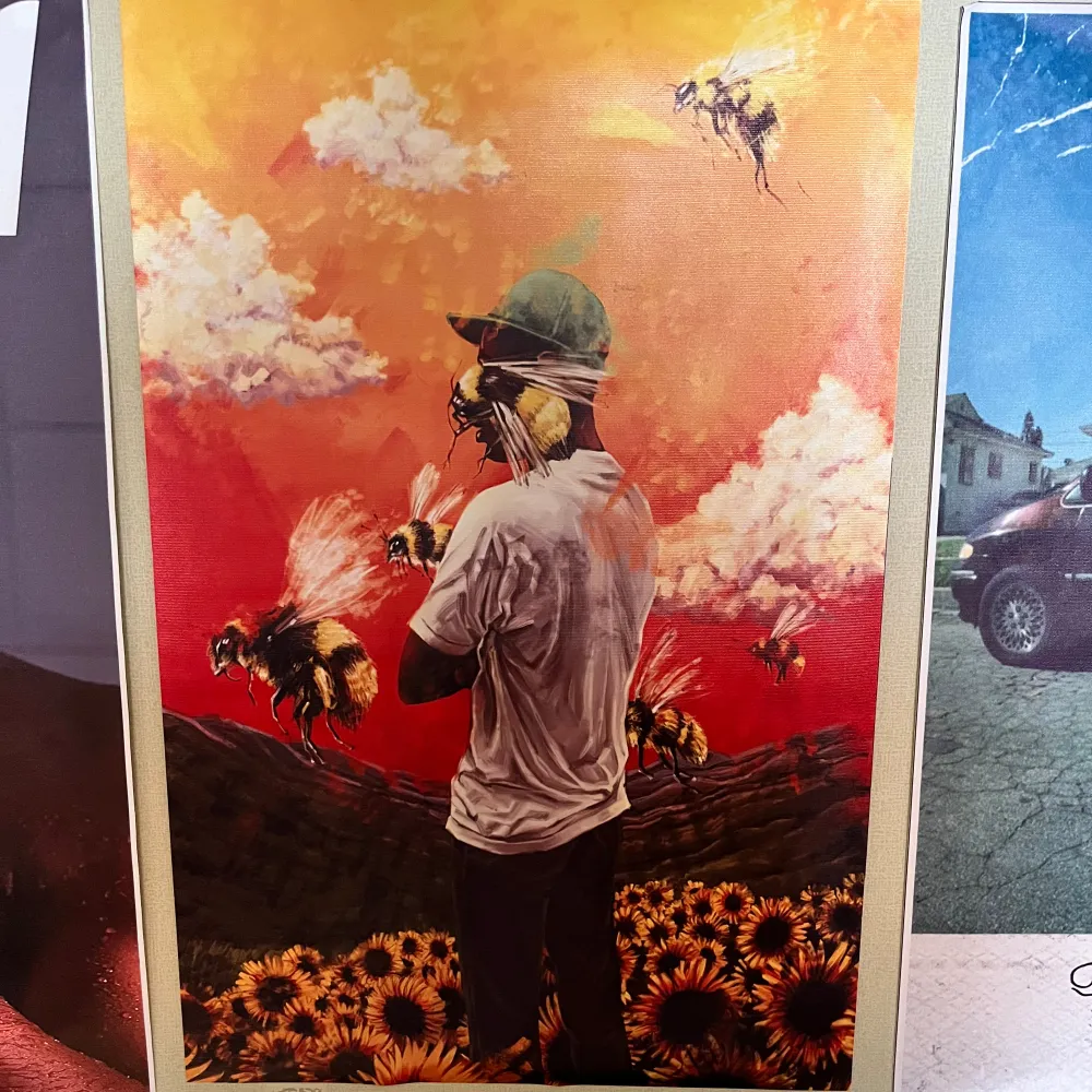 Tyler the creator poster, flowerboy poster canvas. Övrigt.
