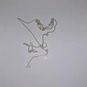 Halsband med vingar - Ett silvrigt halsband med söta små vingar 