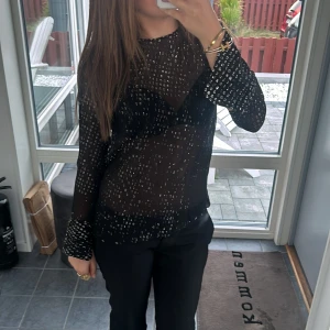 Genomskinlig glittrig tröja/blus från & Otter stories  - Bra skick, fin men genomskinlig med silvriga detaljer