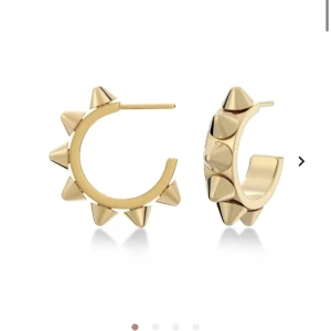 Edblad Örhängen - Örhängen från Edblad som är väldigt trendiga! Nypris 399, har haft dom ett tag men de har tyvärr inte kommit till användning så mycket som jag hoppats på 💕