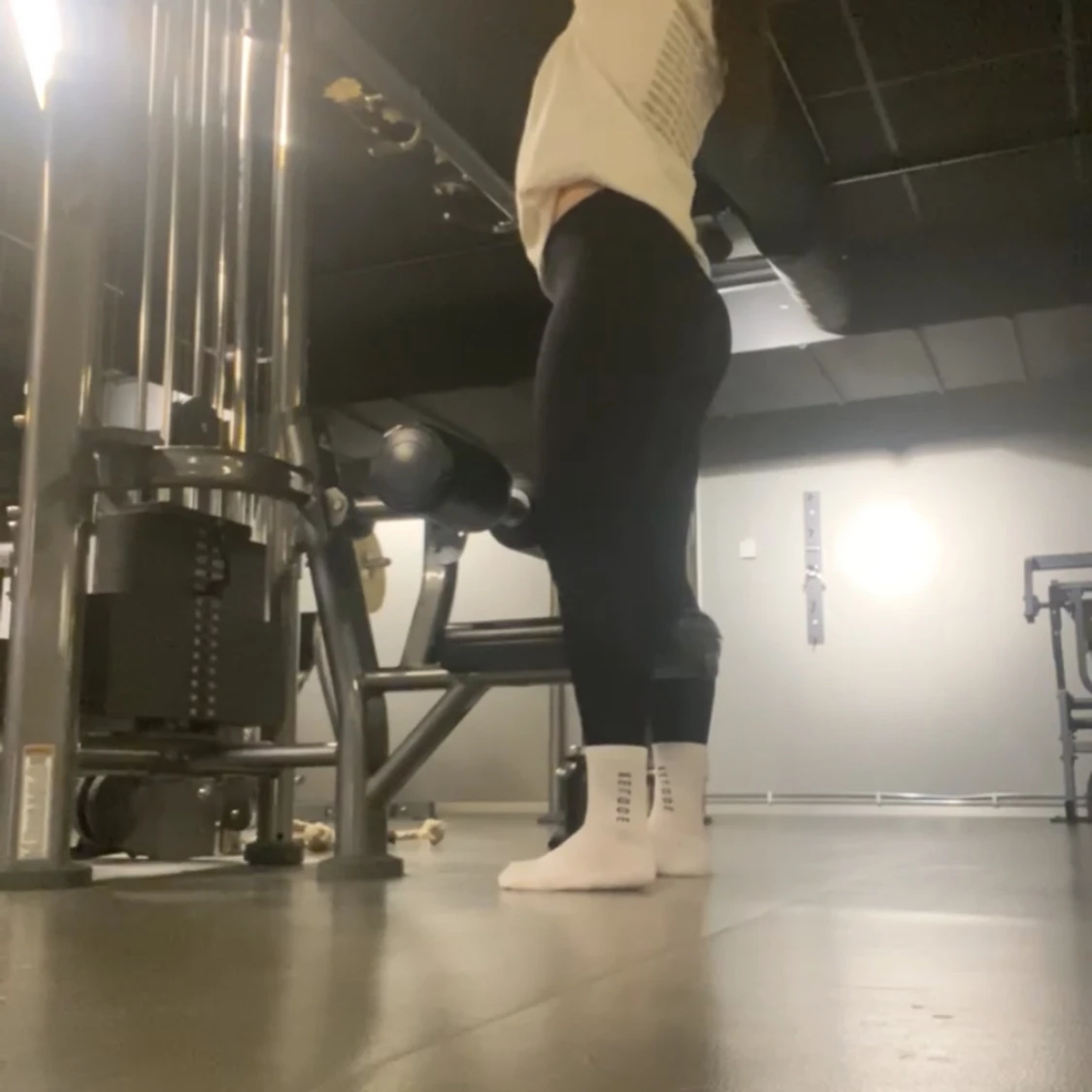 Prime seamless tights