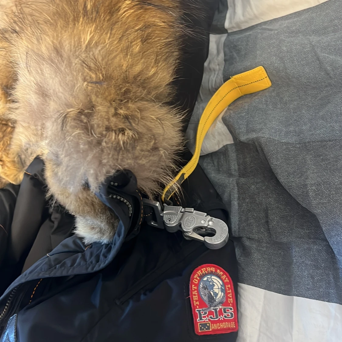 Parajumper vinterjacka - 90