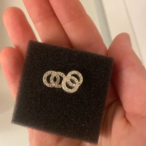 Örhängen  - Jättefina örhängen som knappt är använda 