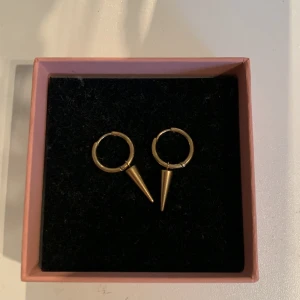 Edblad örhängen!!  - Ett par guldiga örhängen från Edblad!!💓Inga tecken på användning säljer pågrund av att de inte kommer till användning. Köpta för 399kr. 