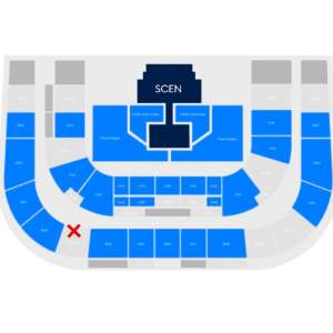 Säljer en sittplats på Nicki Minajs konsert i Stockholm. Köpt för 800 säljer för 350