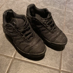 Nike tn skor - Säljer dessa skor med lite skador eftersom jag bara vill bli av med dem